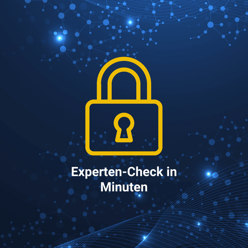 IT-Sicherheitscheck für KMU - Schwachstellenanalyse und Security Check