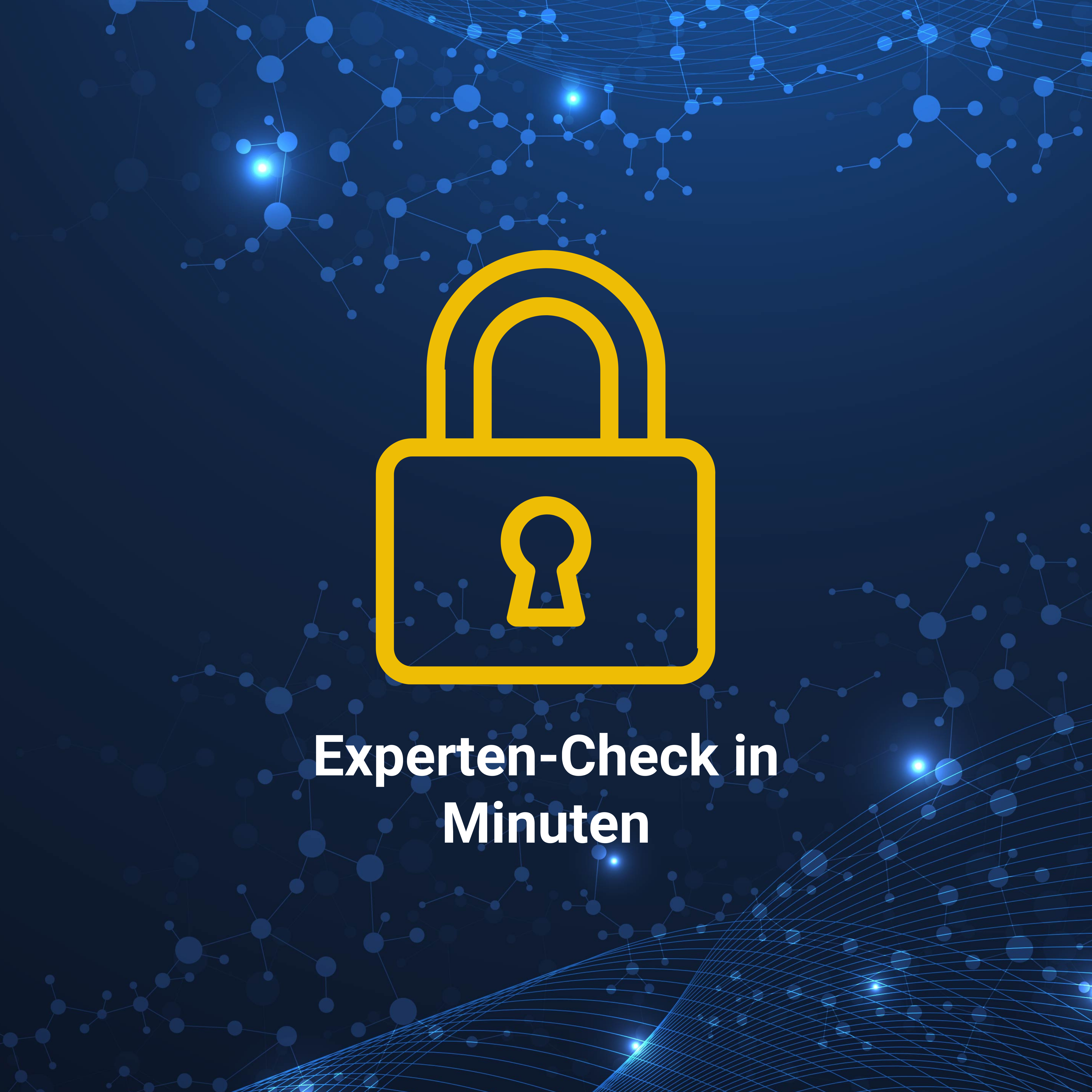 IT-Sicherheits-Check
